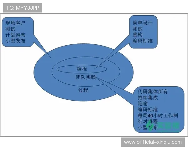 敏捷开发模式应用于平台迭代，快速响应市场需求与用户反馈。